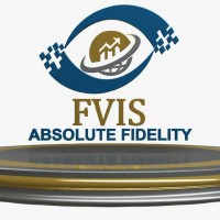 FVIS INVESTMENT logo - Similar company to Fvis Group