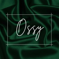Ossy Ltd logo - Similar company to Ossy