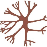 Justice and Peace Commission (JPC - MSLCP) logo - Related company intelligence peer for Organization for Community Development (OCD)