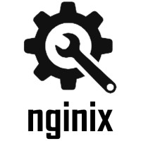 nginix logo - Similar company to Enginex
