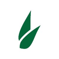 Aloevera Basket Co. logo - Similar company to Aloevera