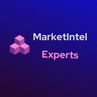 MarketIntel Experts logo - Similar company to Global Consumer Behavior Analytics