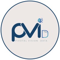 pvi DATA logo - Similar company to Pvi Group