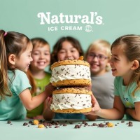 Naturals Ice Cream MO logo - Similar company to Cream Centre Hyderabad