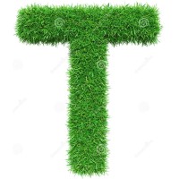Fondazione Torrecchia Vecchia logo - Similar company to Cybion