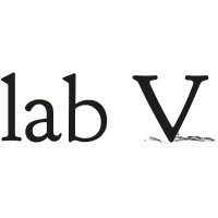 lab V logo - Similar company to Espacea