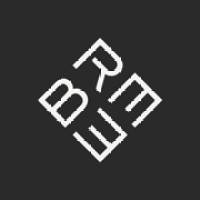 STYLE WITH BREE logo - Similar company to The Boldest Co