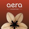 Aera Designer Fans logo - Similar company to Otto Advisory