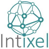Intixel logo - Similar company to Dilenytech