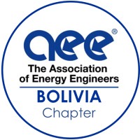 AEE Bolivia Chapter (Asociación de Ingenieros de Energía) logo - Similar company to Hidroelectrogas S.R.L.