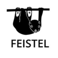 Anhui Feistel Outdoor Products Co., Ltd. logo - Similar company to Bestmart Chile