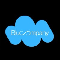 Blu Company logo - Similar company to Effect E-Commerce