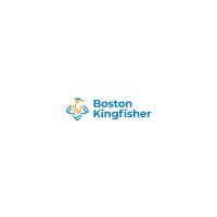 Boston Kingfisher logo - Similar company to Cloudflex Computing Services Limited