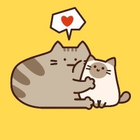 Catddle Lab