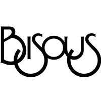 Bisous Sunglasses logo - Similar company to Metron Innovation Group