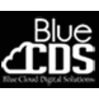 Blue Cloud Digital Solutions logo - Similar company to Avnon Fintech And Cyber Solutions