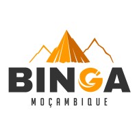 Binga Moçambique logo - Similar company to Servimara, Lda