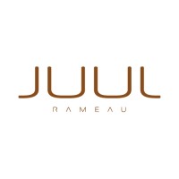 Juul Rameau - studio logo - Similar company to Studio Rocco Verdult