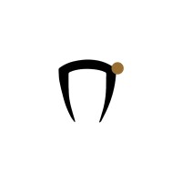 Cobra Communication logo - Similar company to Flyers Tech (Pvt) Ltd.