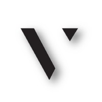 Veteran Vision LLC logo - Similar company to Pegasus Defense Solutions