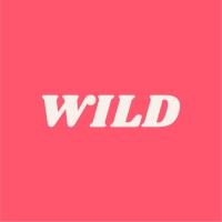 Wild SEO Agency LTD logo - Similar company to Didgeheads