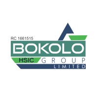 Bokolo HSIC Group Limited logo - Similar company to Social Dive