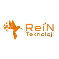 Rein Teknoloji logo - Similar company to Rein Technology Solution