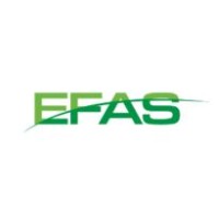 Empowerment Financial Advisory Services logo - Similar company to Root, Spitznas & Smiley, Inc.