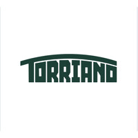 Torriano Group logo - Similar company to Task Legends