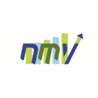 Nayan M Vala Securities Pvt Ltd. logo - Similar company to Afm Advisory
