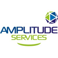Amplitude Services logo - Similar company to Idmc