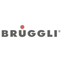 Brüggli Industrie logo - Similar company to Stiftung Workaut
