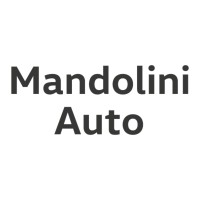 MANDOLINI AUTO S.P.A. logo - Similar company to Fioletti Spa