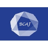The Business Case Analysis Journal logo - Similar company to Bazbaz Research