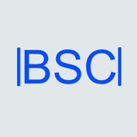 Business Solution Consulting (BSC) logo - Similar company to Virtu