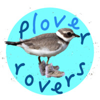 Plover Rovers