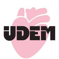 UDEM SRL logo - Similar company to Datum.Sa