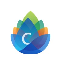 Citta Academy logo - Similar company to Cargo365Cloud