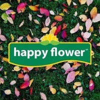 Happy Flower Mexicana logo - Similar company to Nextchamba
