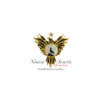 Némesis Sécurité Formation logo - Similar company to Gie Sae