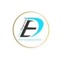 Excel Diagnostics logo - Similar company to Alchem Diagnostics