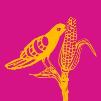 Dominga logo - Similar company to Dominga Kombucha