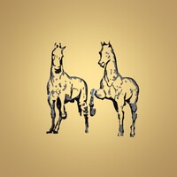 Hippodrome Rustavi logo - Similar company to Swoop.Ge