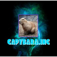 Capybara.inc logo - Similar company to Capybara Distributors Inc.