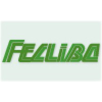 FECLIBA logo - Similar company to Link It