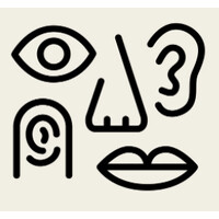 The Human Experience Co. logo - Similar company to Campus One Stop