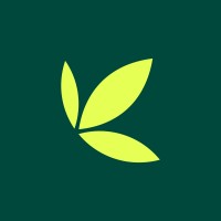 Bamboo logo - Similar company to Cowrywise