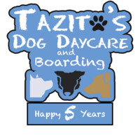 Tazito's Dog Daycare, LLC