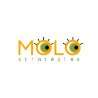 MOLO stratégies logo - Similar company to Purpose Connect