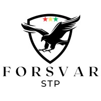 Forsvar STP logo - Similar company to Forsvar International